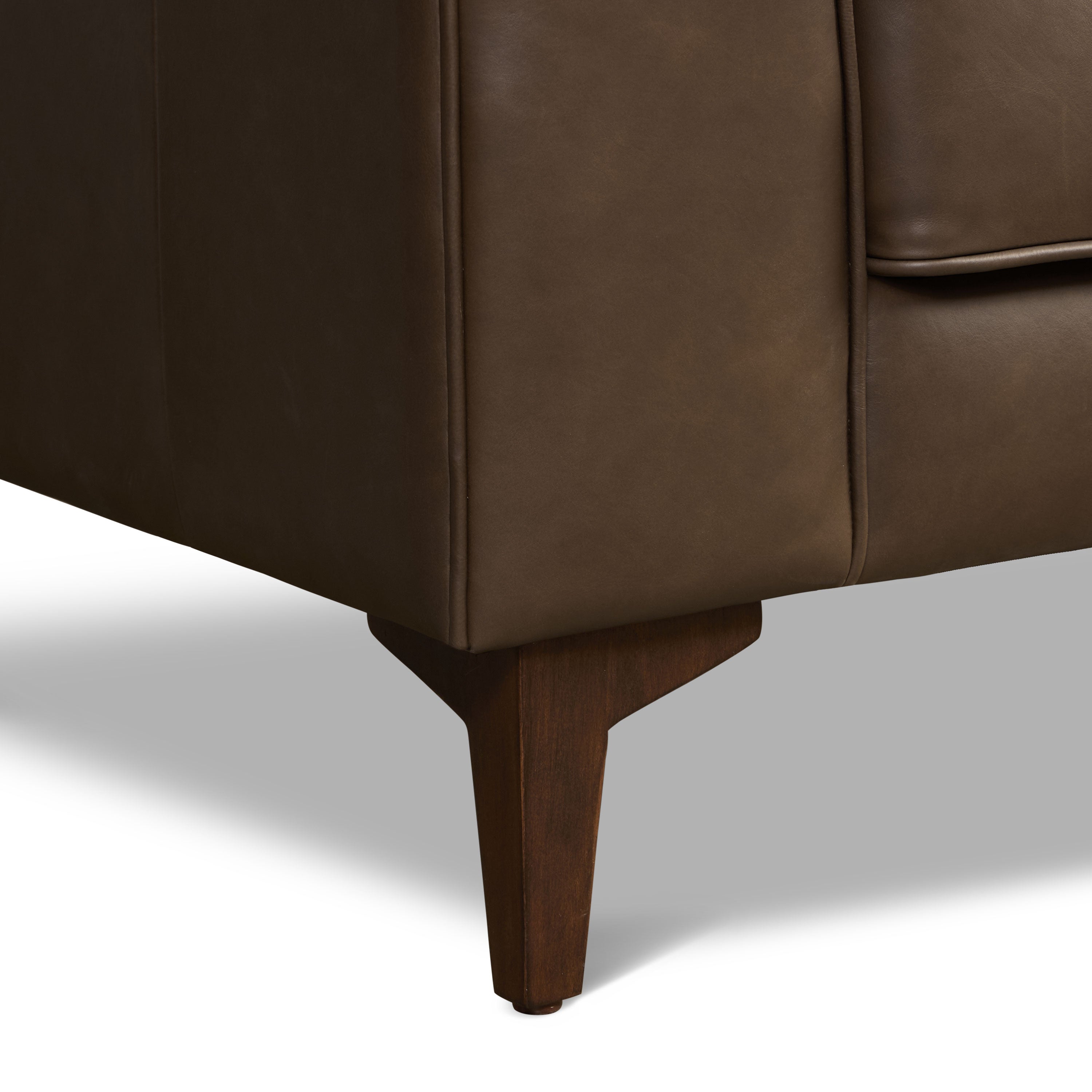 Fauteuil en cuir de salon | Marron cacao