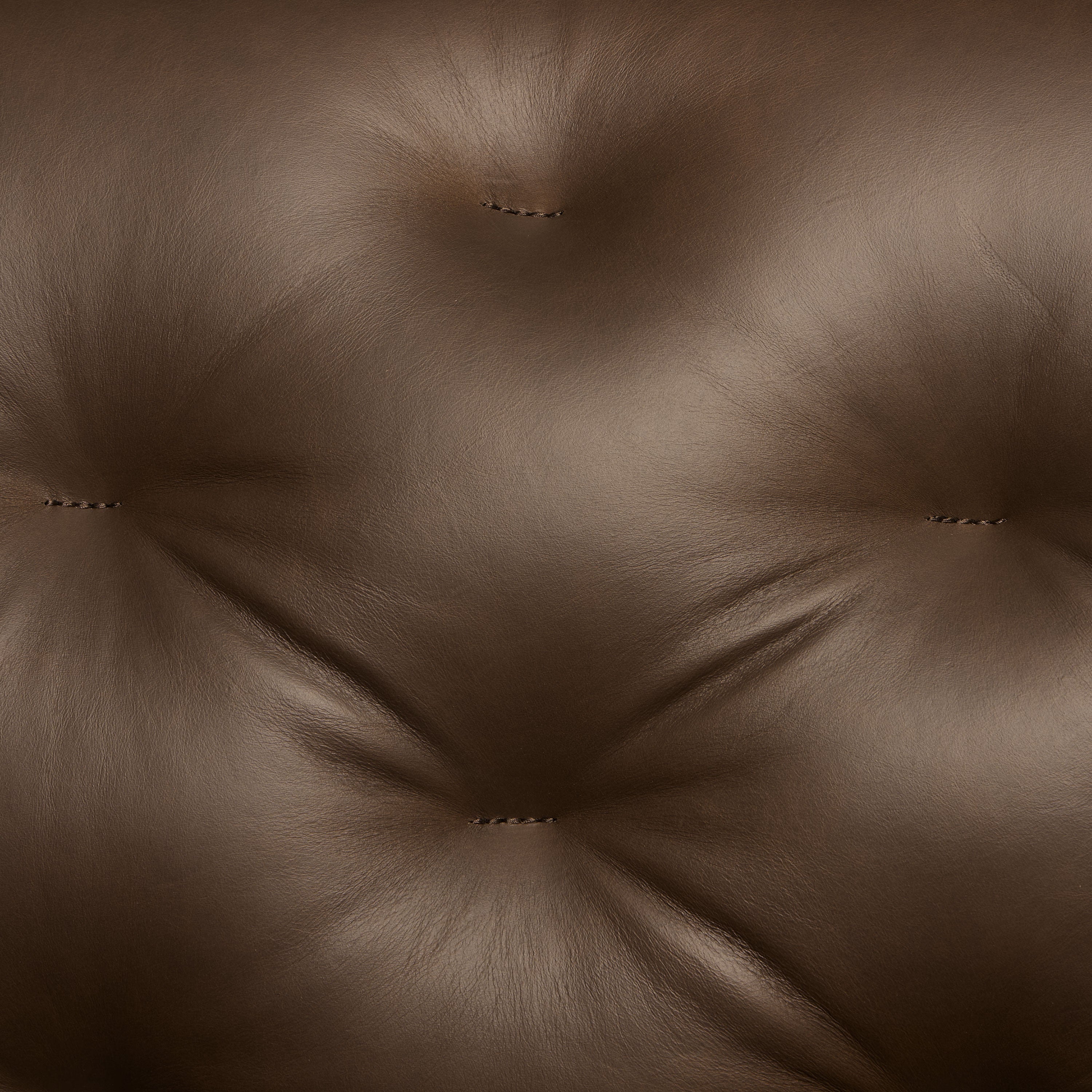 Fauteuil de salon en cuir | Marron Cacao