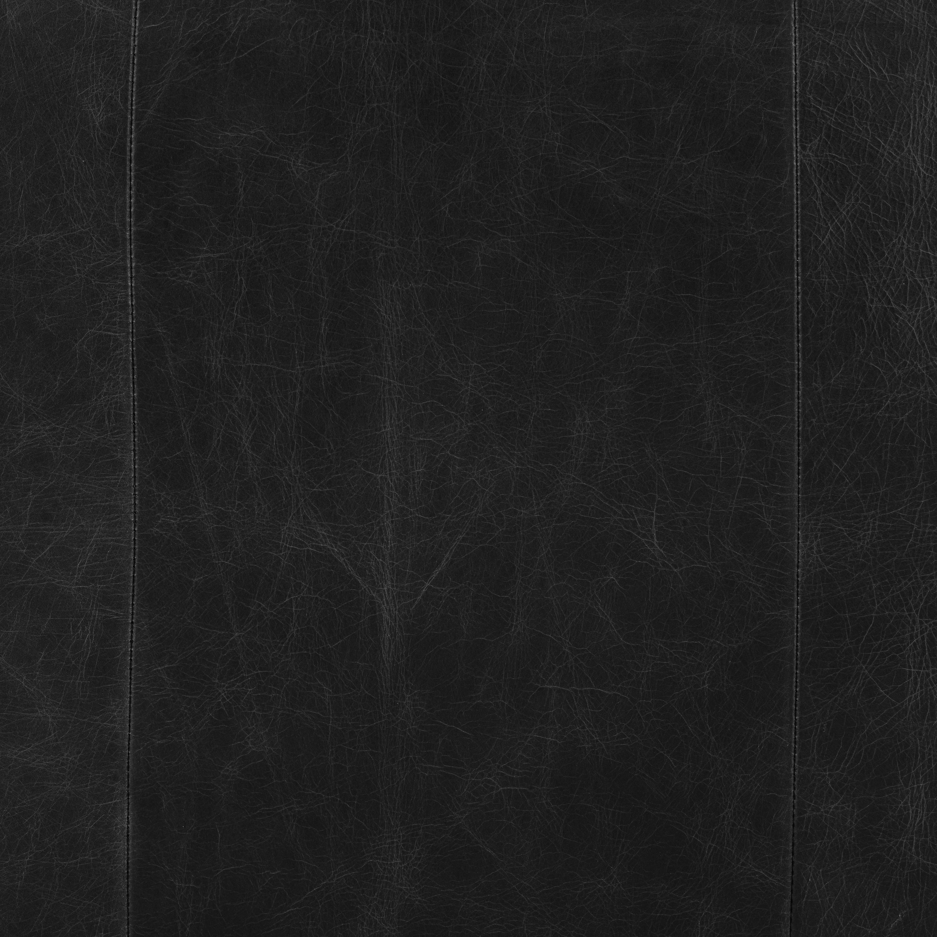 Fauteuil inclinable en cuir | Noir onyx