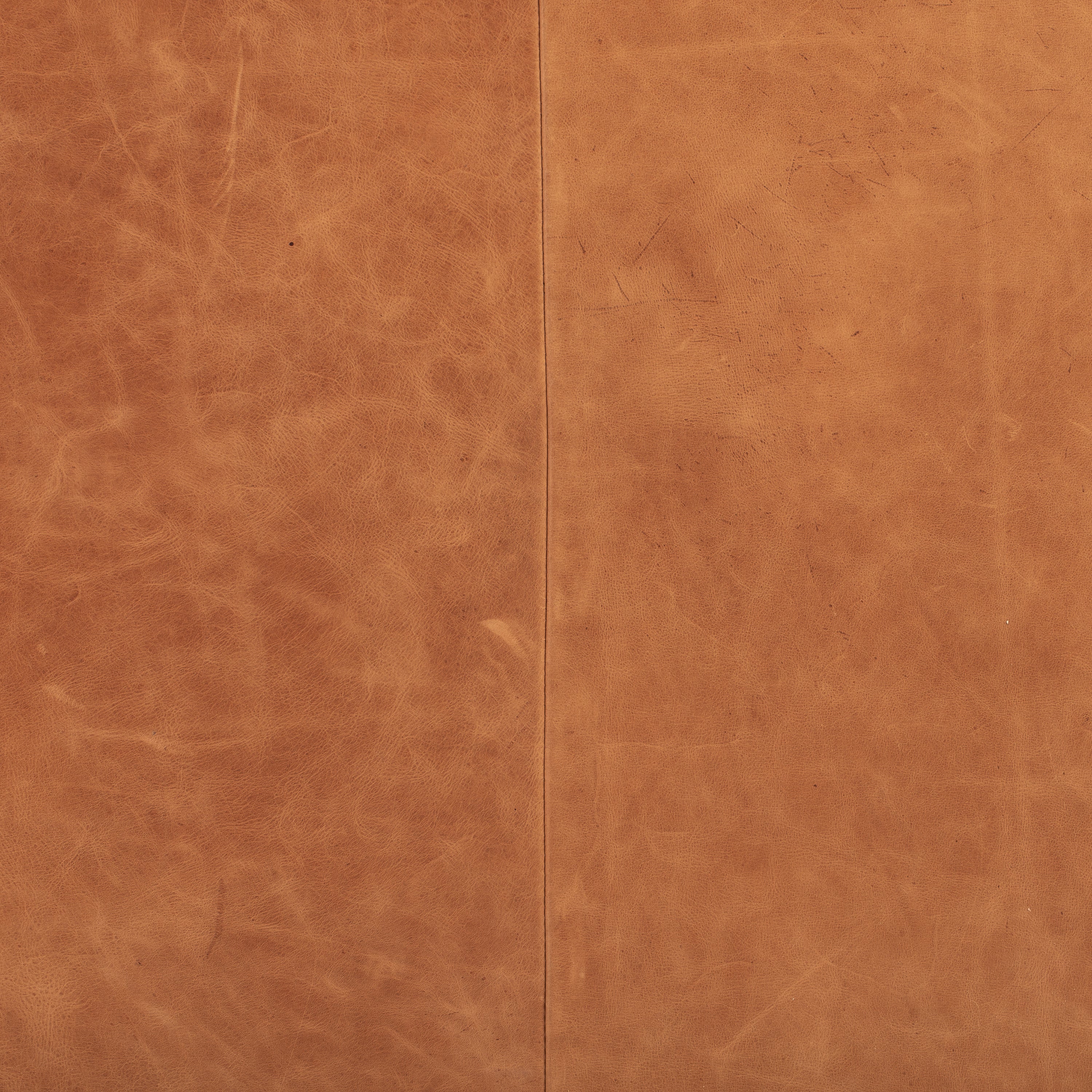 Fauteuil en cuir | Cuir Cognac