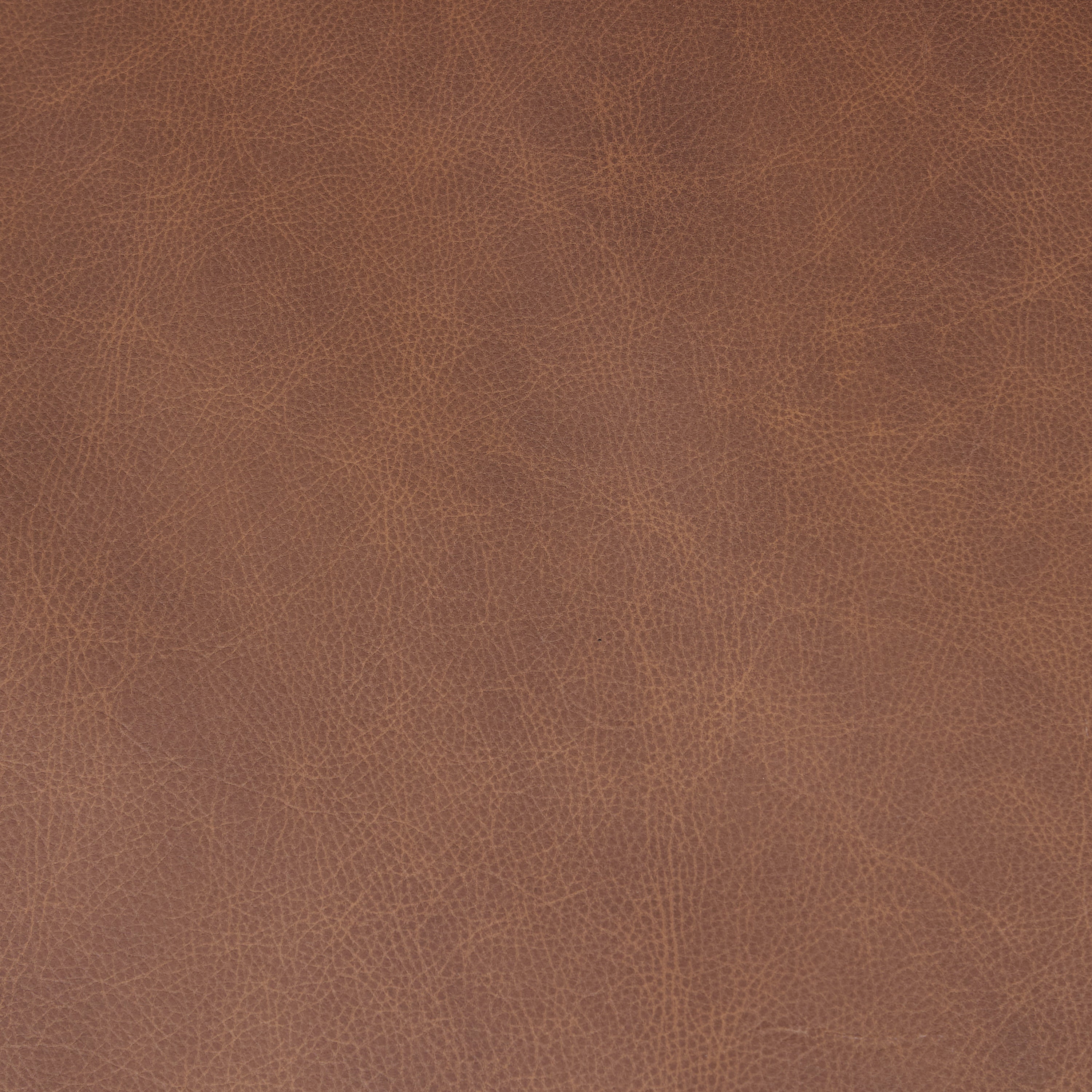Fauteuil en cuir | Brun caramel