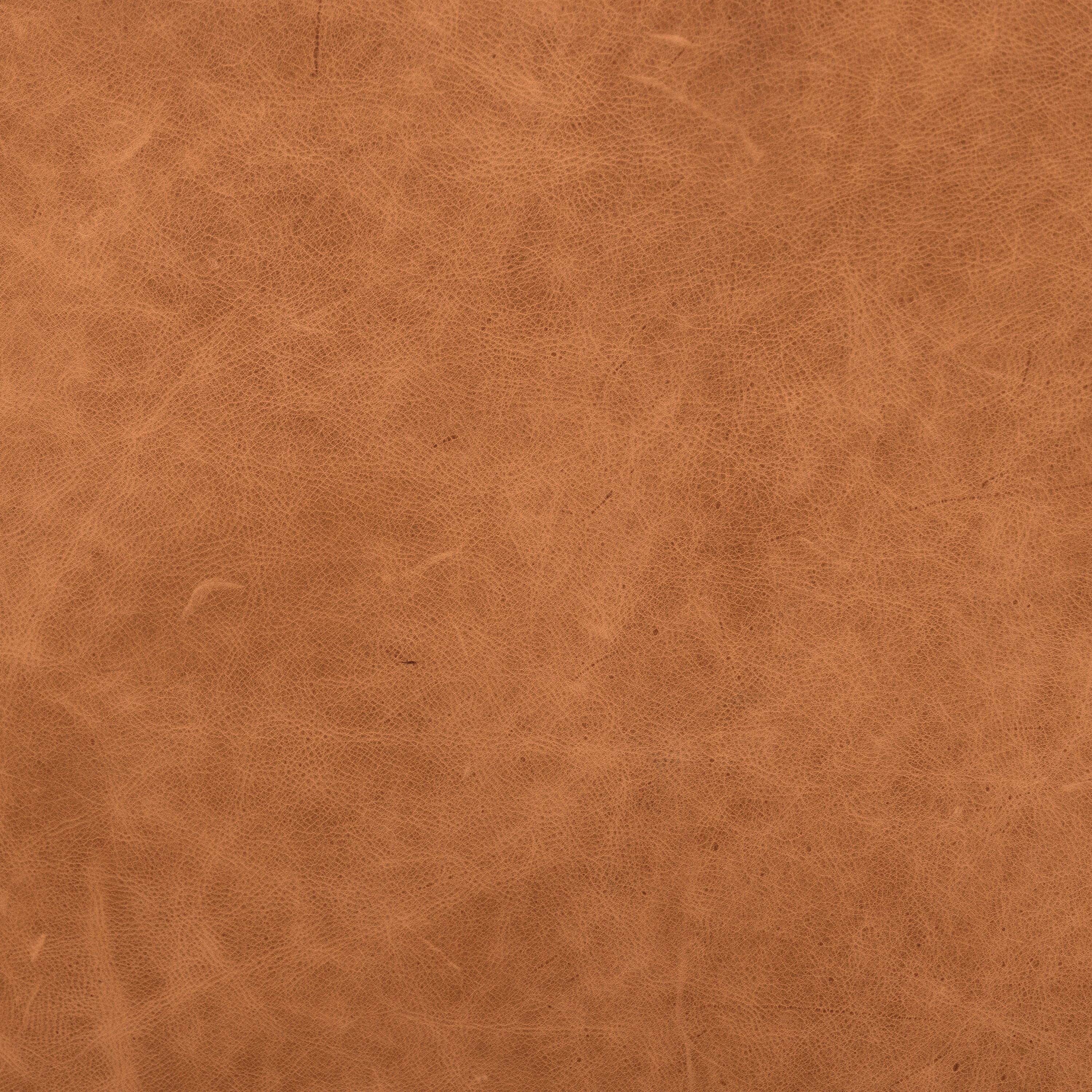 Fauteuil Lounge en Cuir | Cognac Tanné