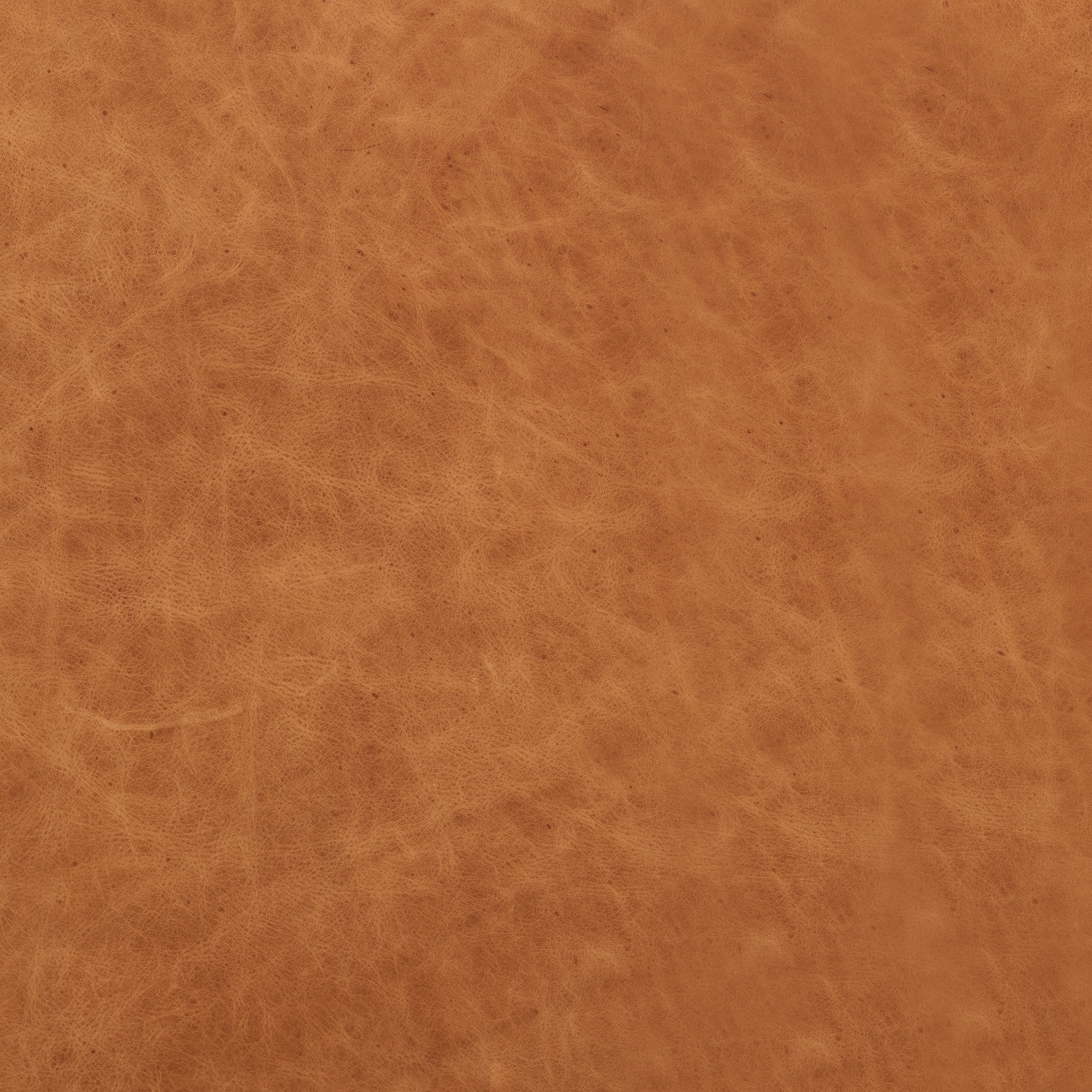 Pouf en cuir | Cognac