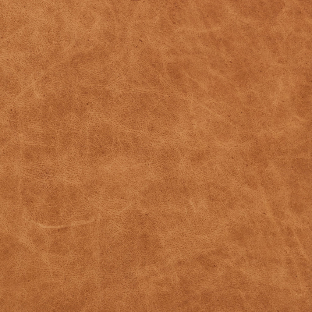 Fauteuil club en cuir | Cognac