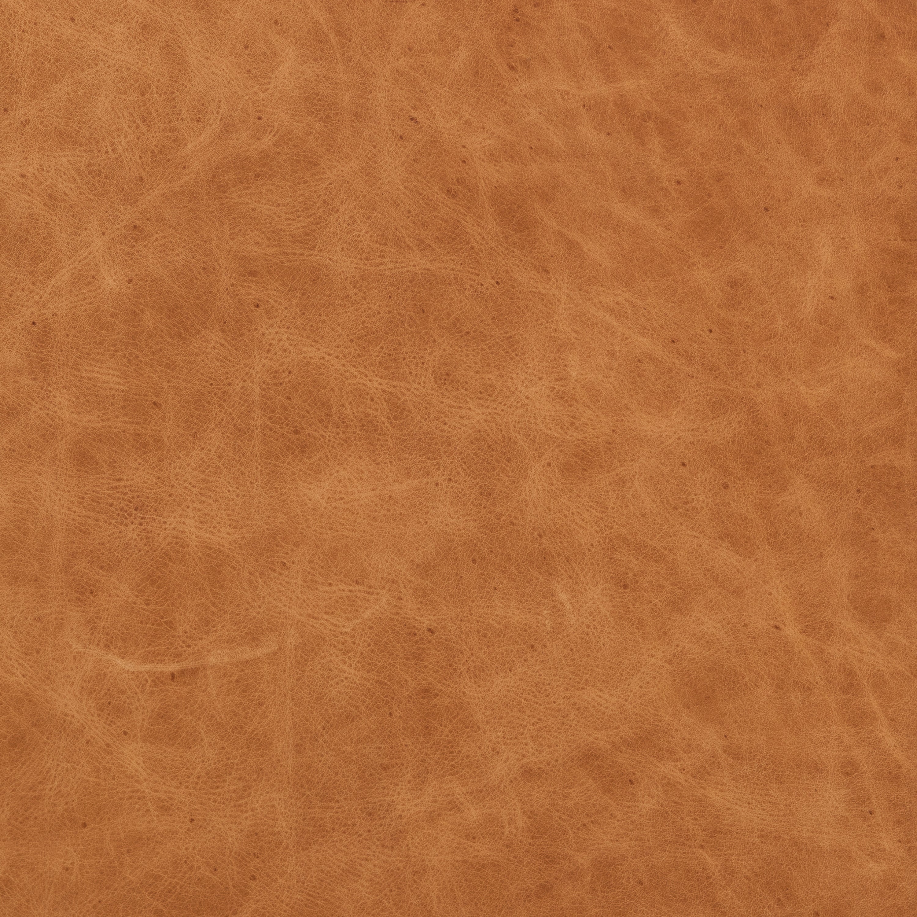 Fauteuil club en cuir | Cognac