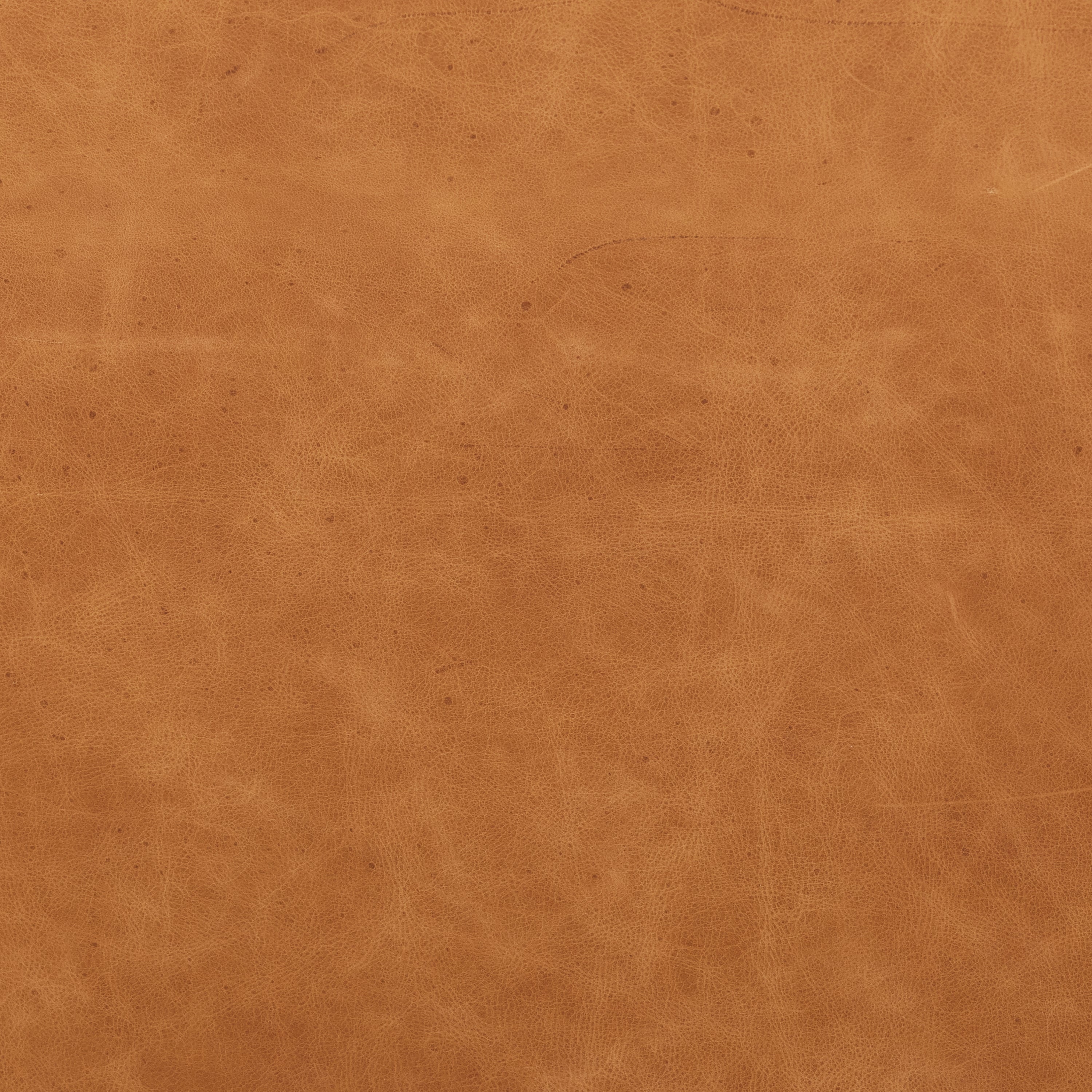 Fauteuil en cuir | Tan cognac