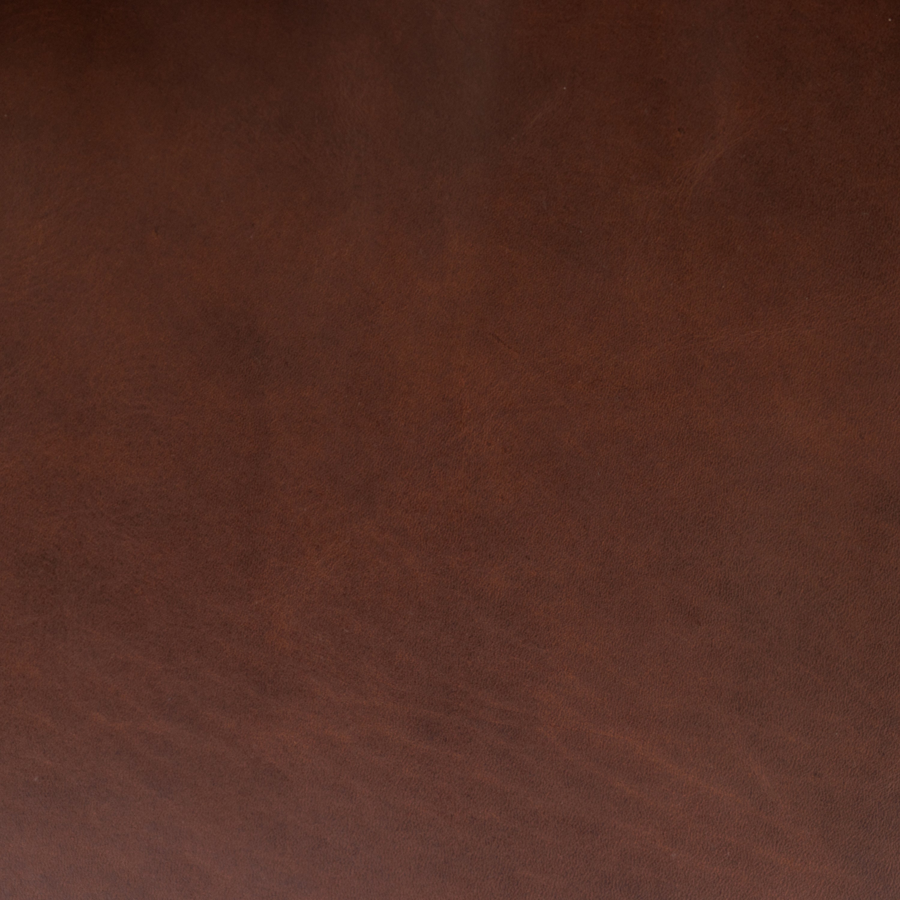 Fauteuil en cuir | Marron Oscuro