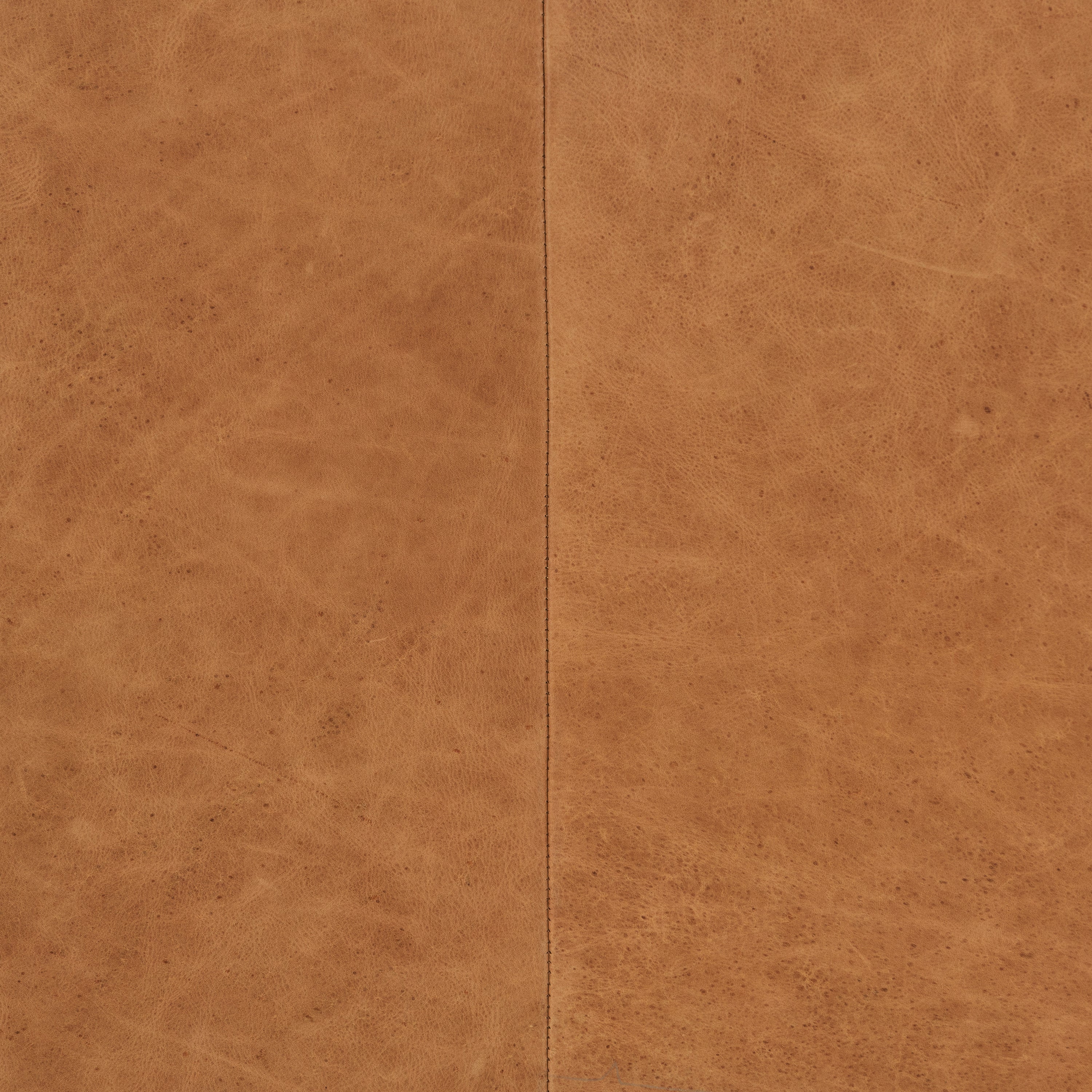 Fauteuil en cuir | Tan cognac