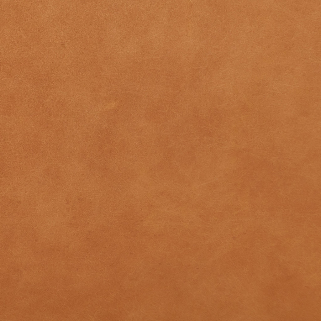 Fauteuil en cuir | Tan