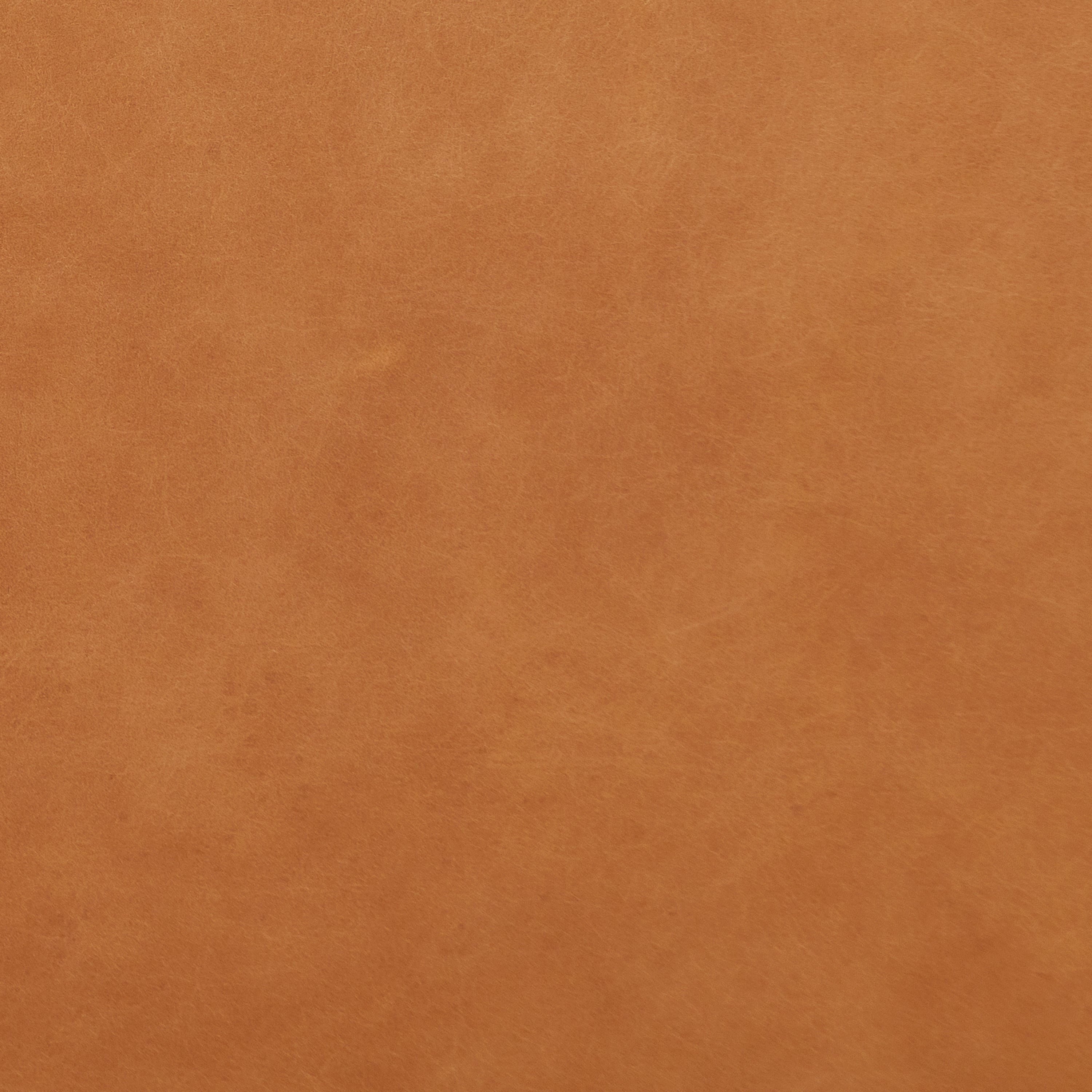 Fauteuil en cuir | Tan