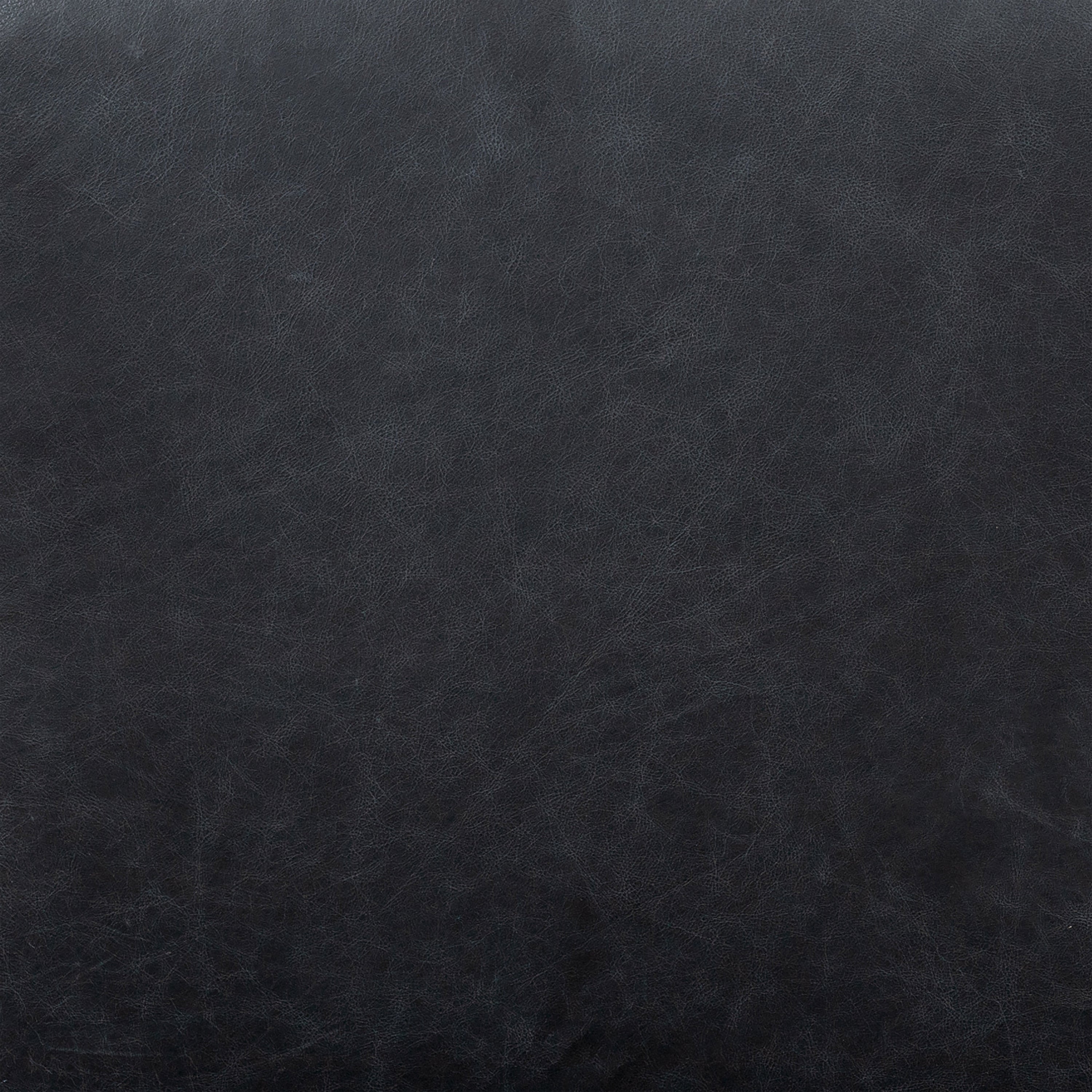Fauteuil en cuir | Noir onyx