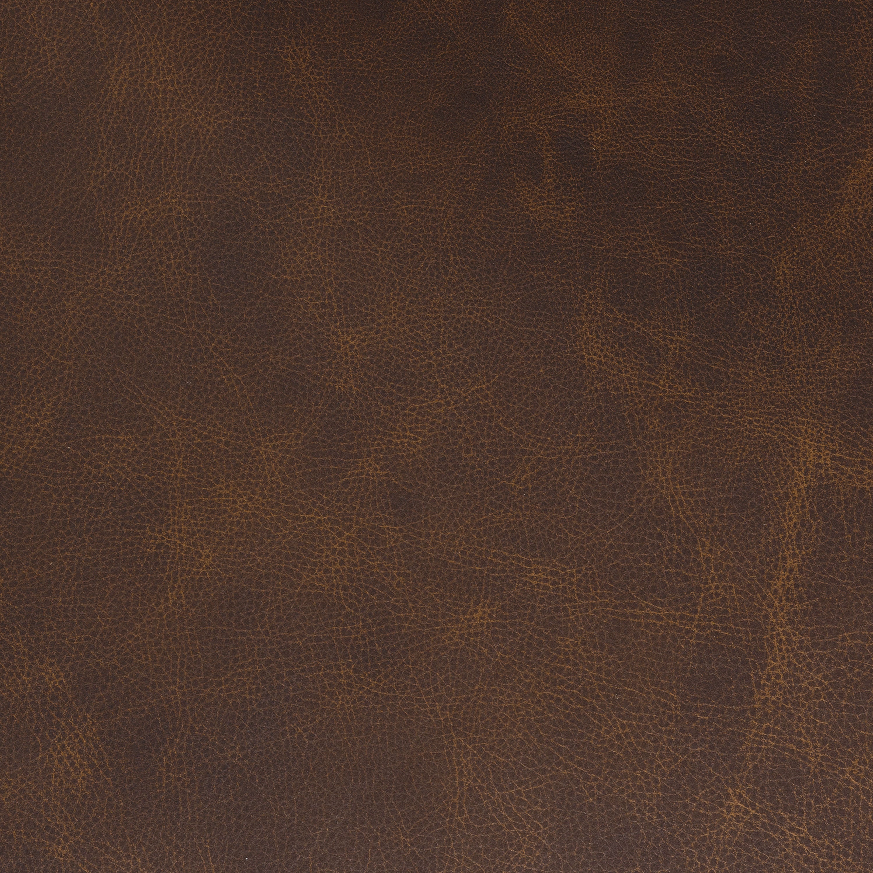 Fauteuil en cuir | Marron Bridle