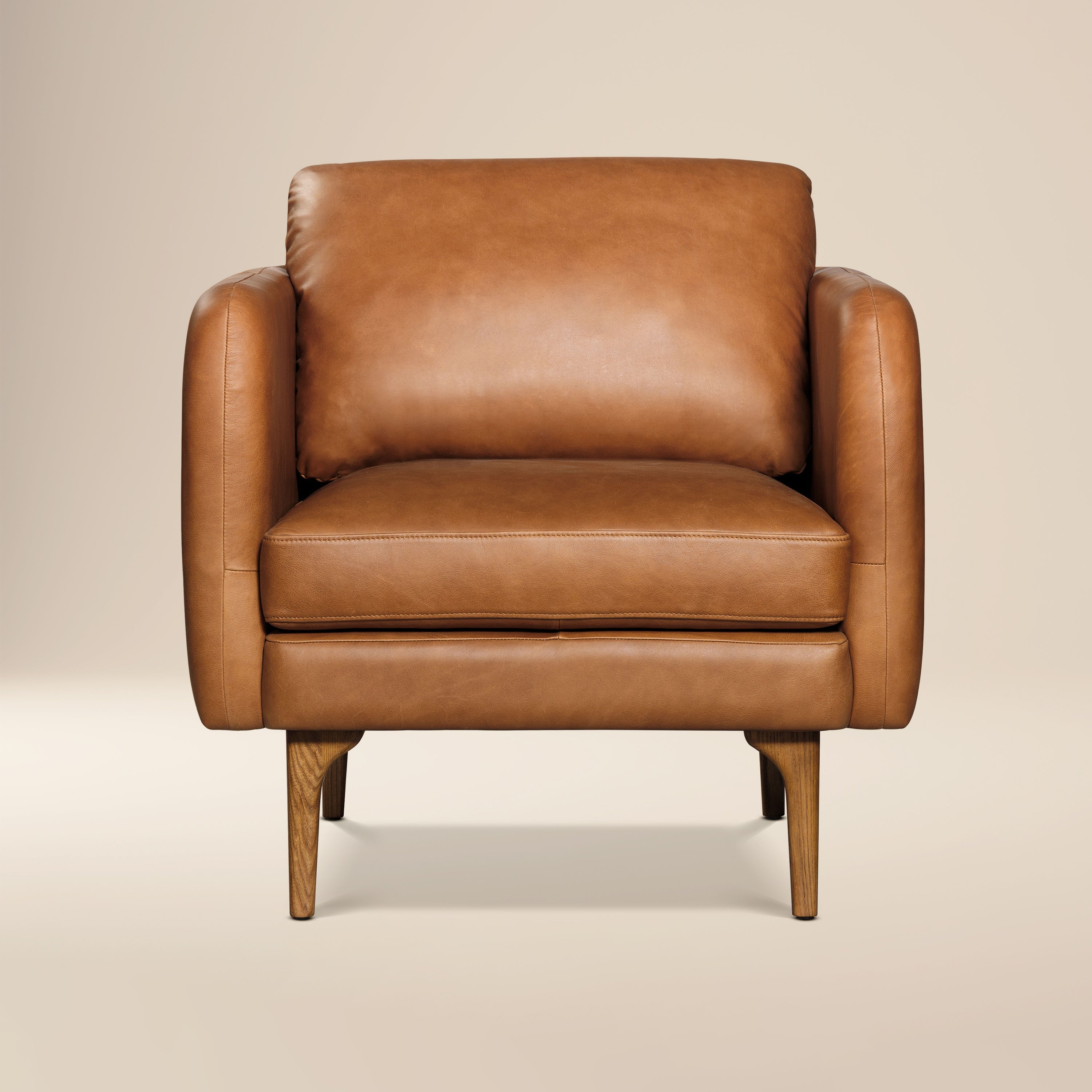 Fauteuil en cuir | Tan Sellier