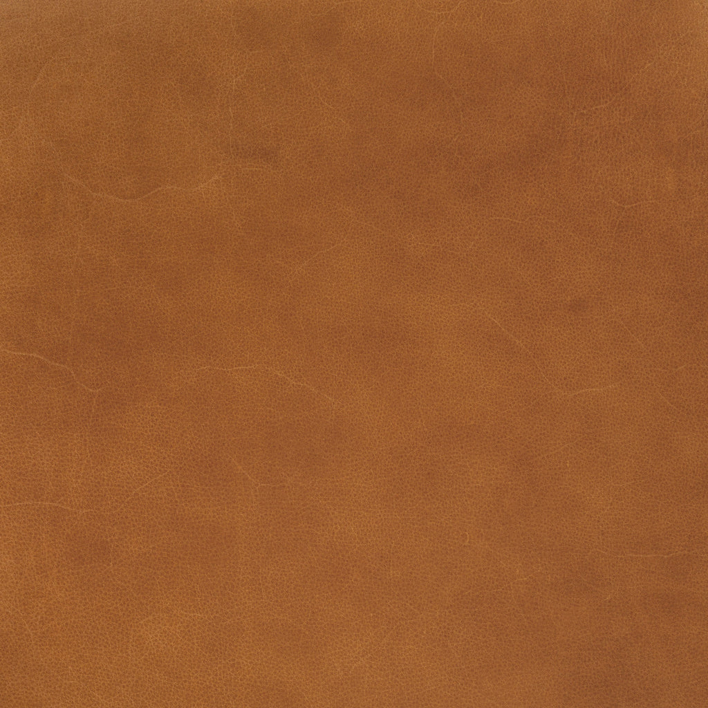 Fauteuil en cuir | Tan Sellier