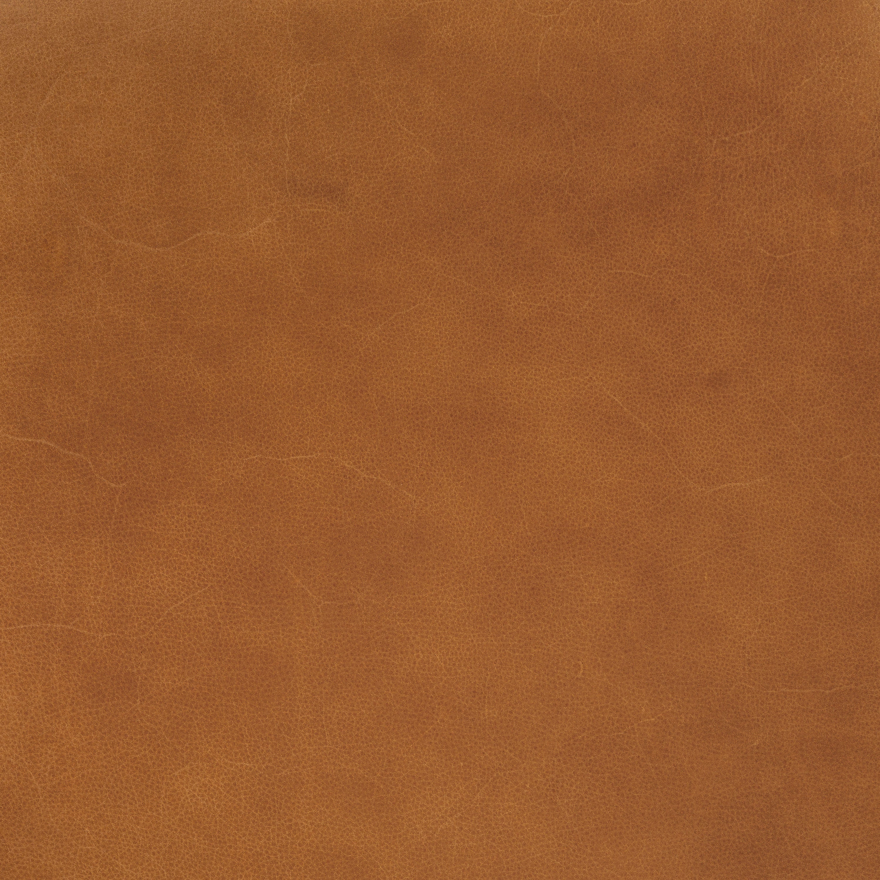 Fauteuil en cuir | Tan Sellier