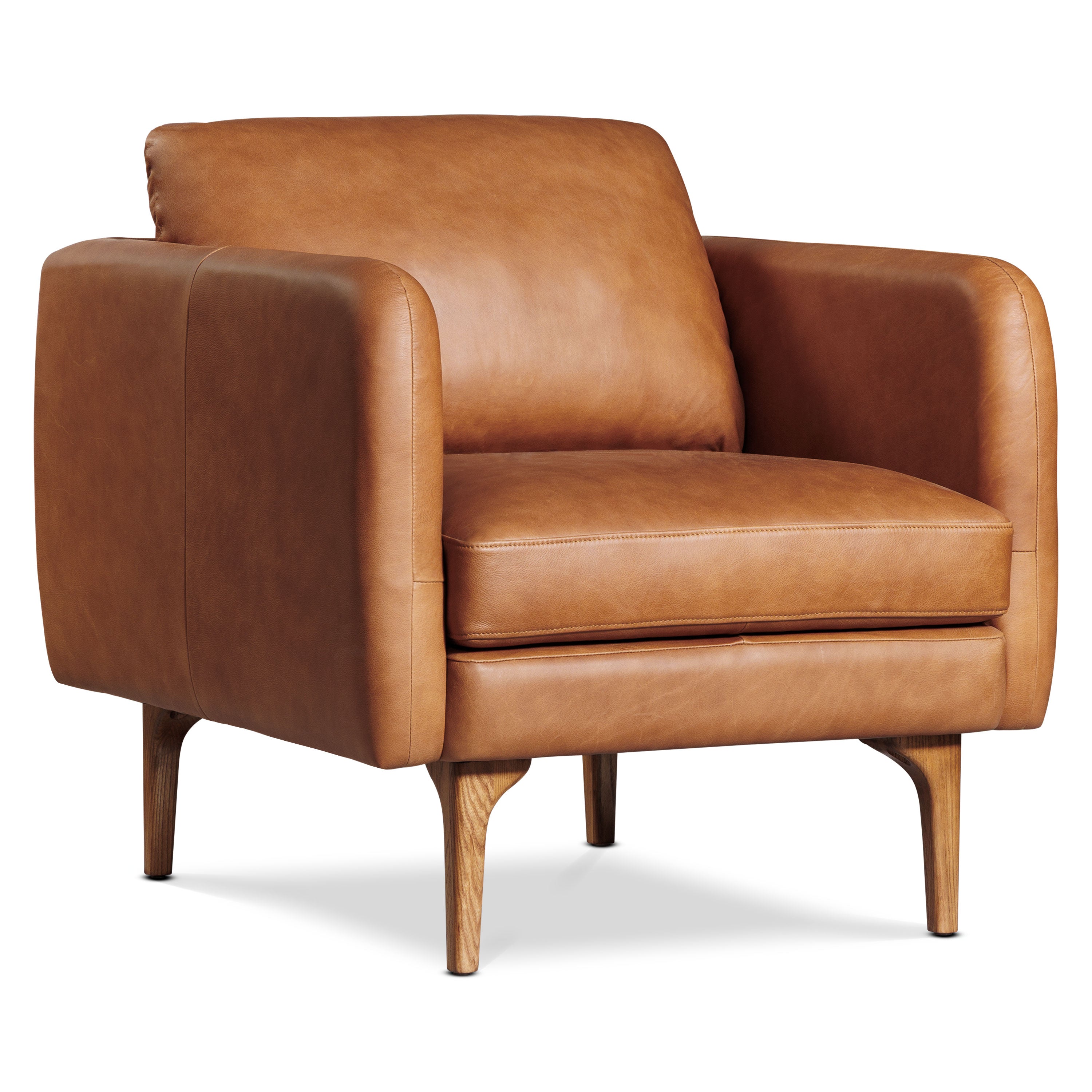 Fauteuil en cuir | Tan Sellier