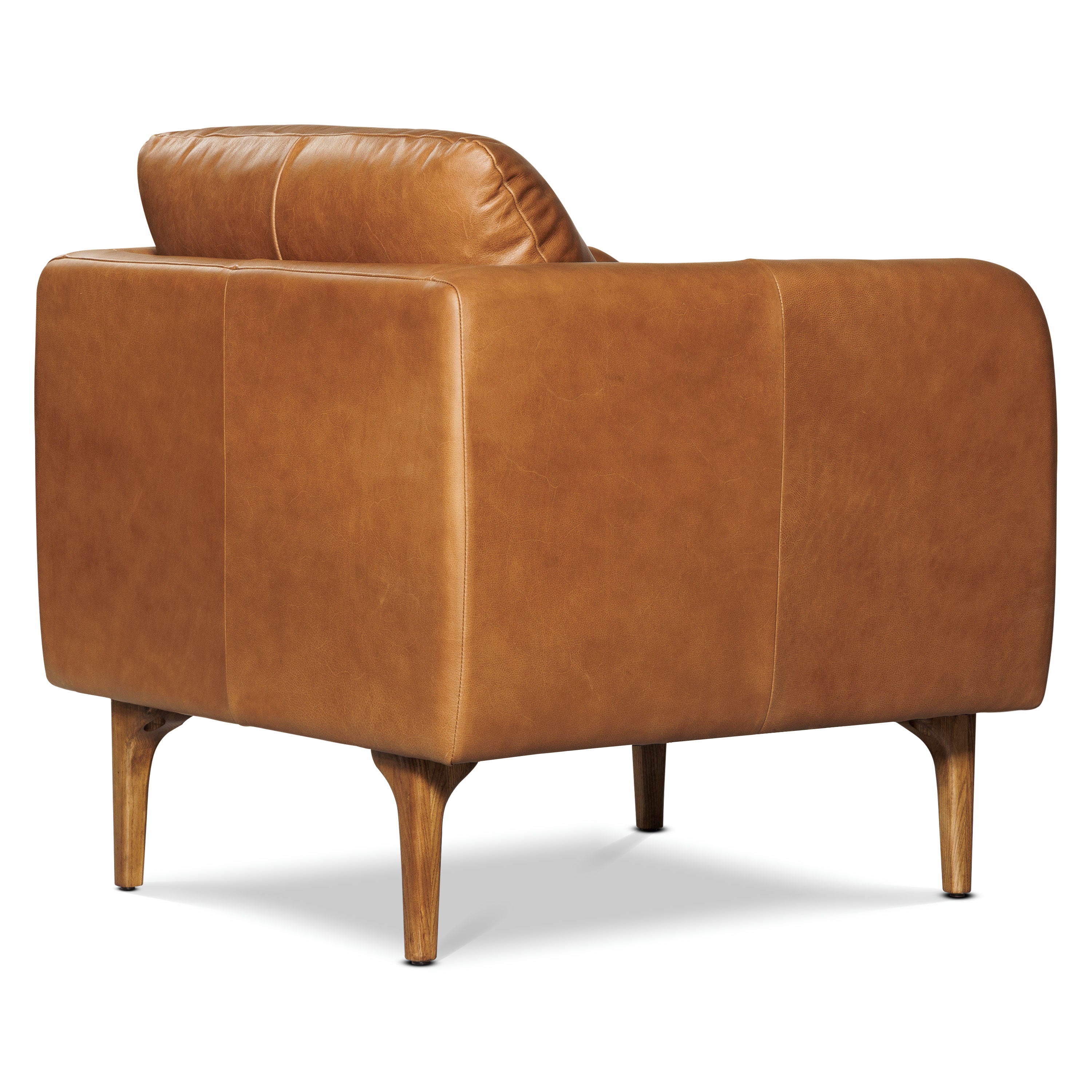 Fauteuil en cuir | Tan Sellier