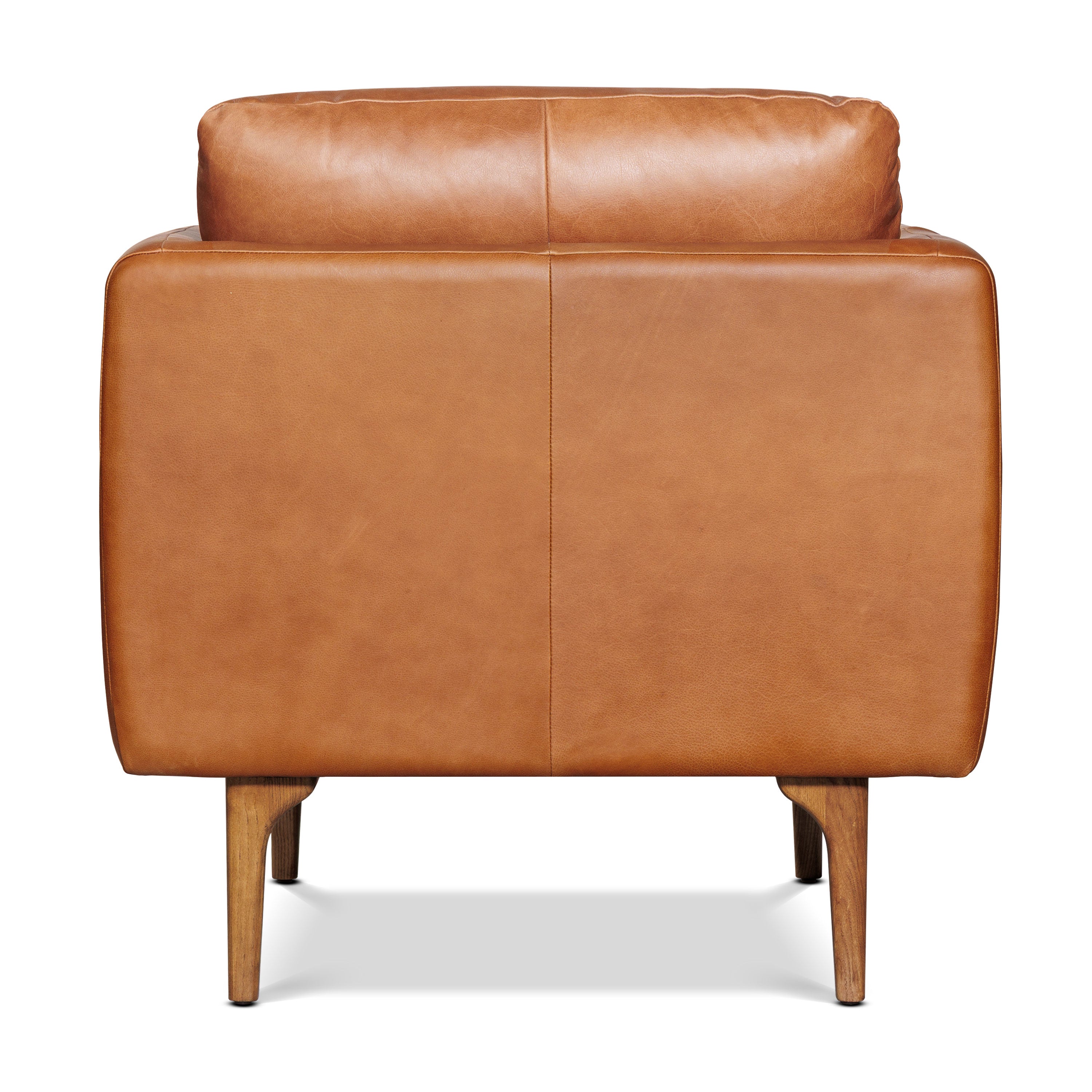 Fauteuil en cuir | Tan Sellier
