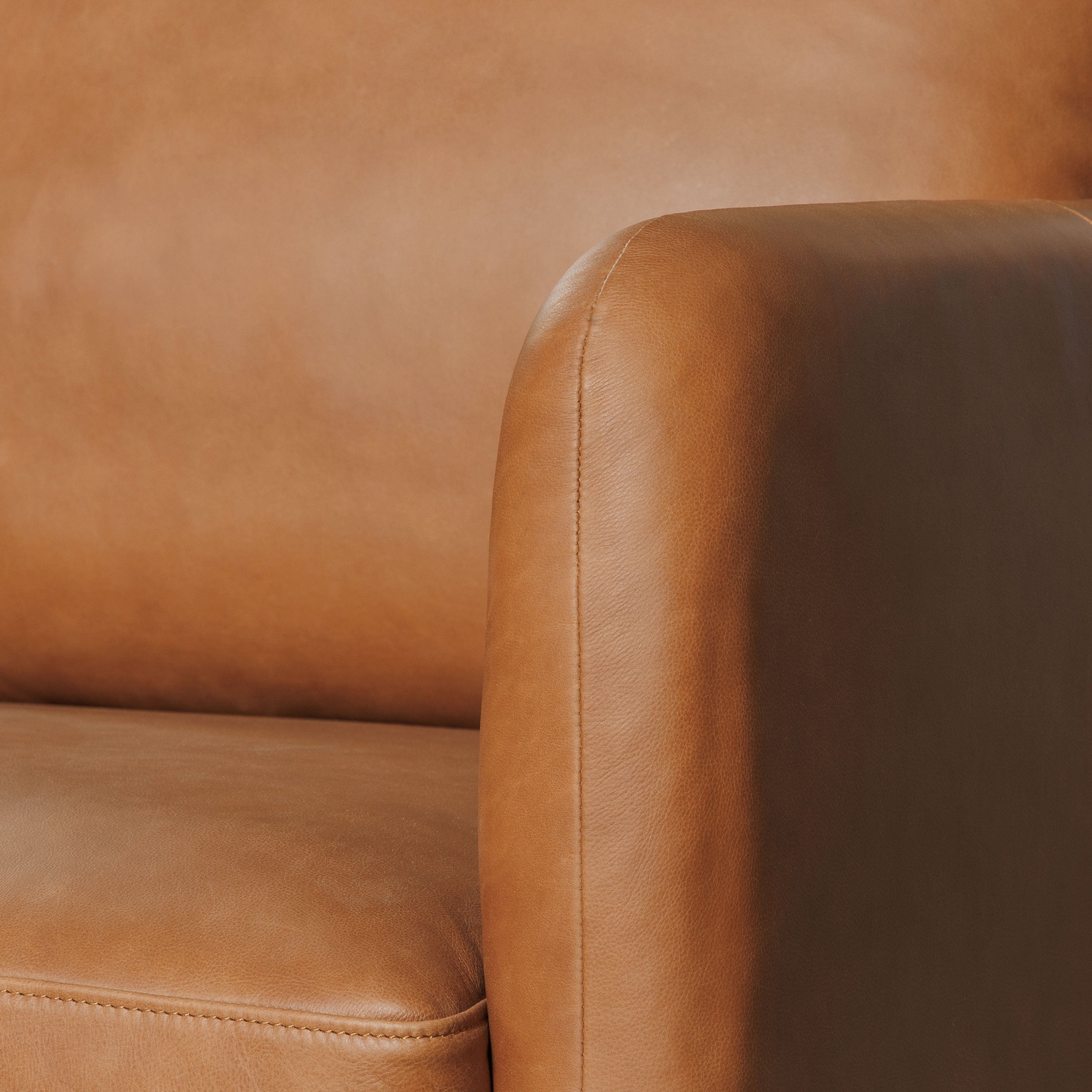 Fauteuil en cuir | Tan Sellier