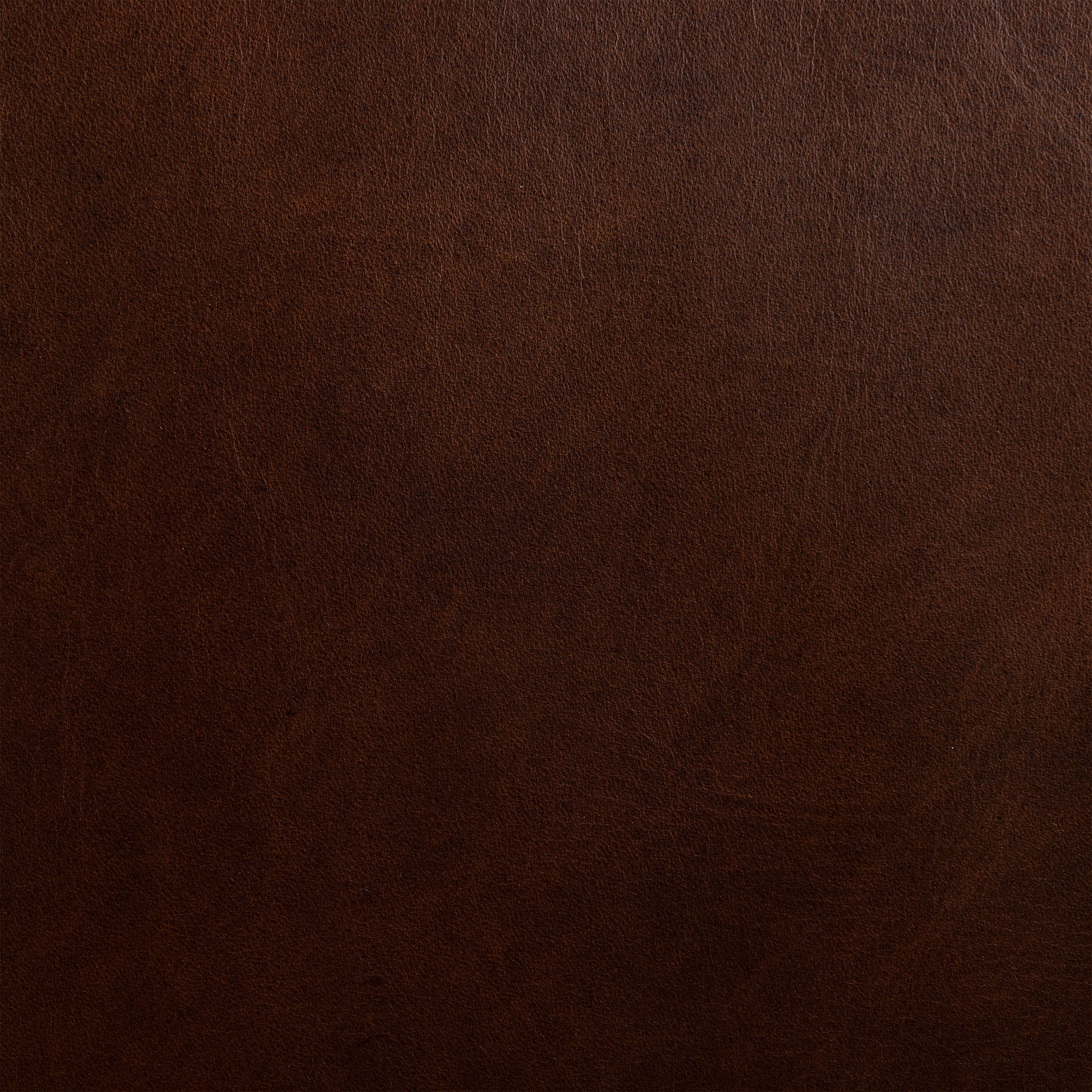 Fauteuil en cuir | Marron Oscuro