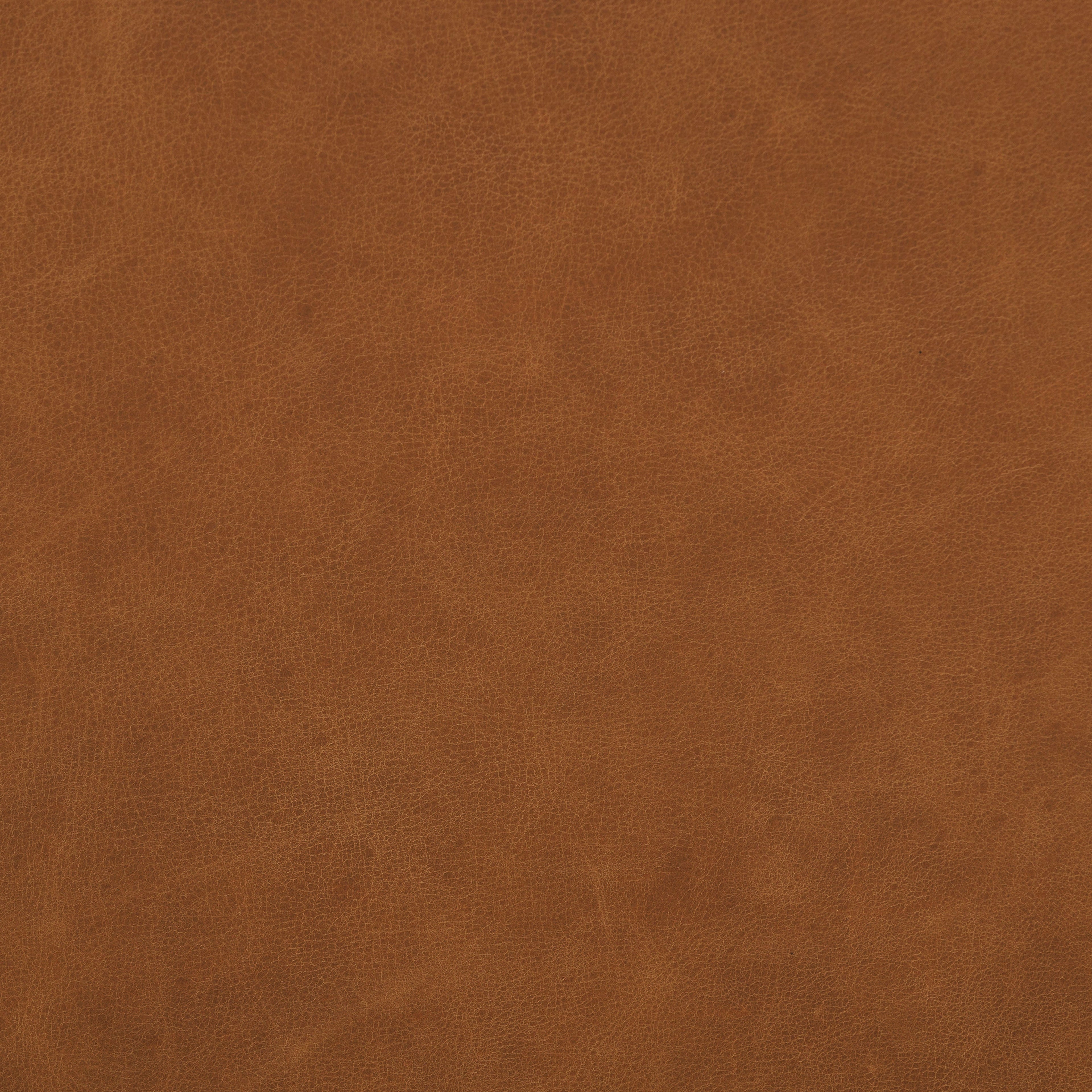 Ottoman de rangement en cuir | Brun selle