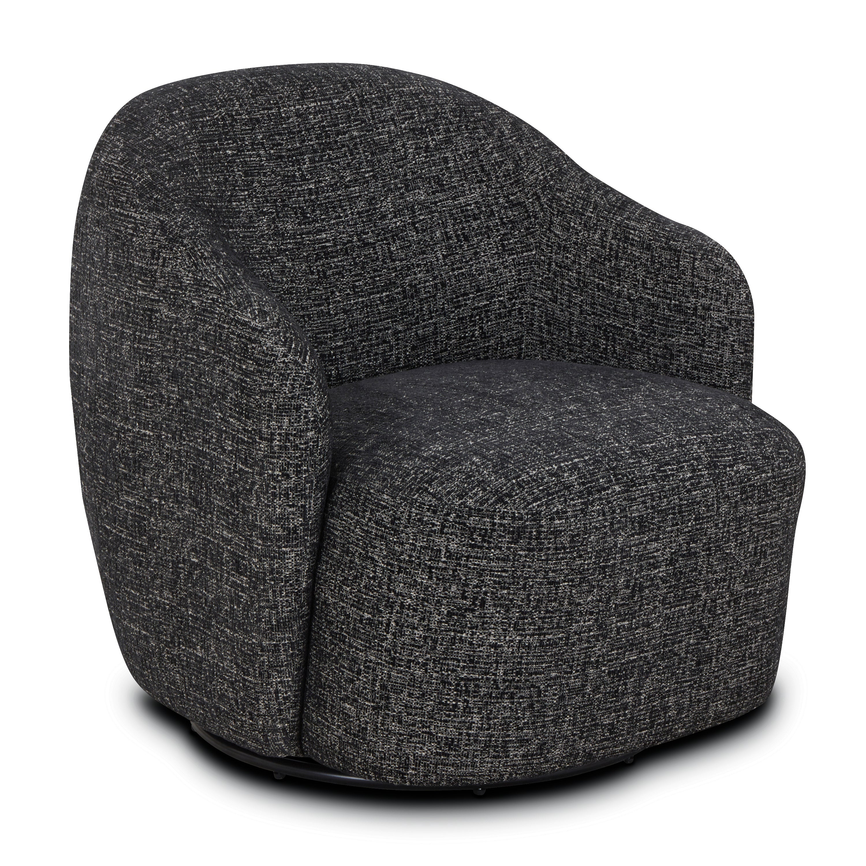 Fauteuil de salon | Noir ébène