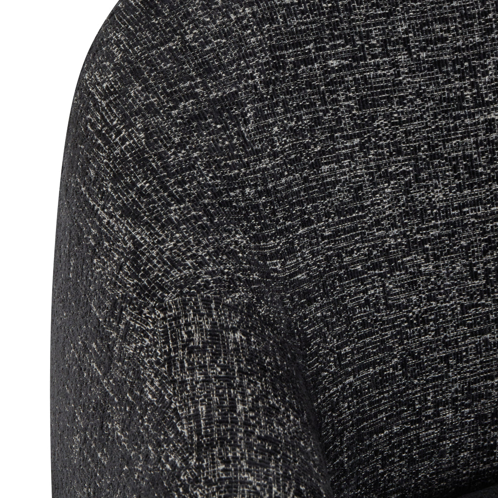 Fauteuil de salon | Noir ébène