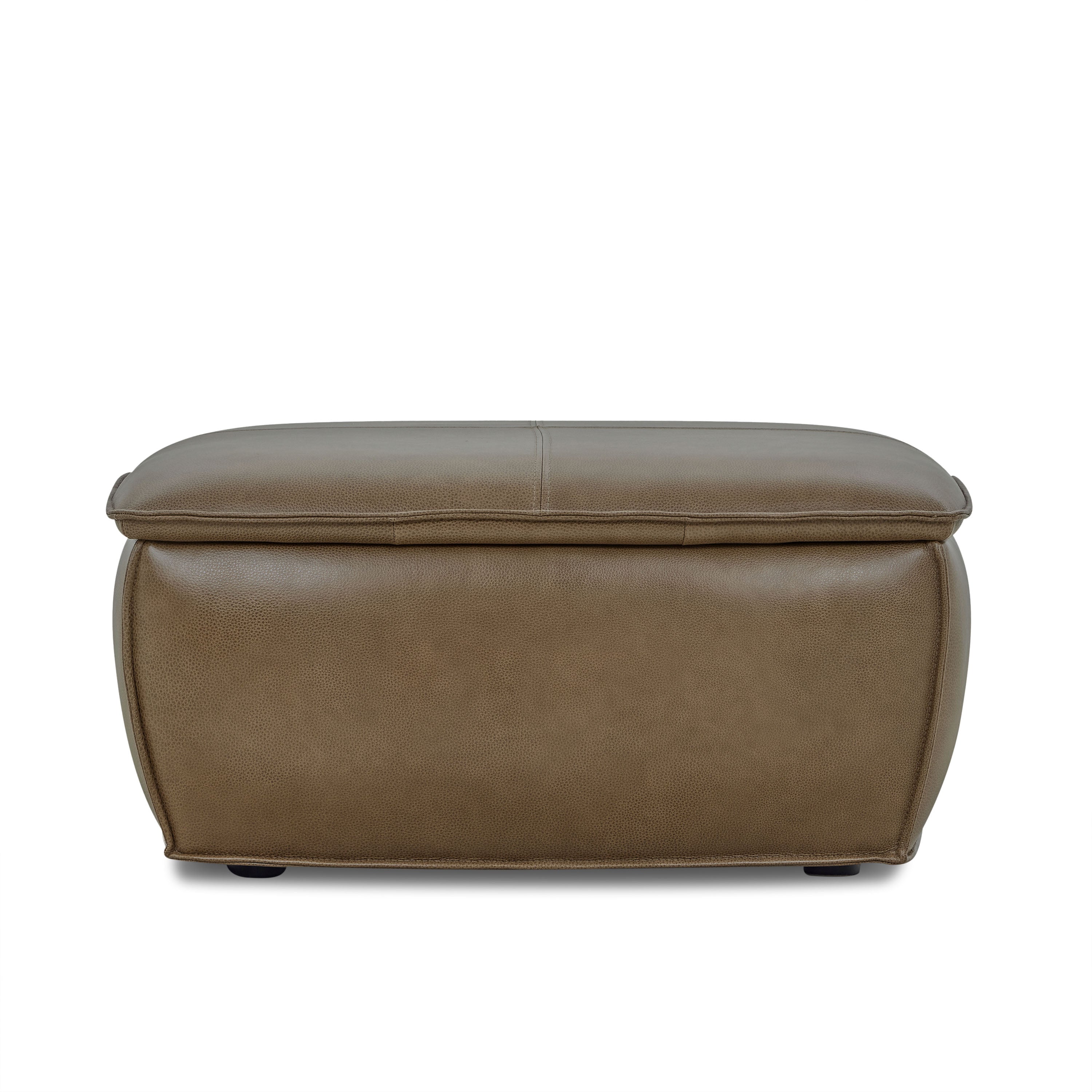 Banc de rangement en cuir | Marron châtaigne