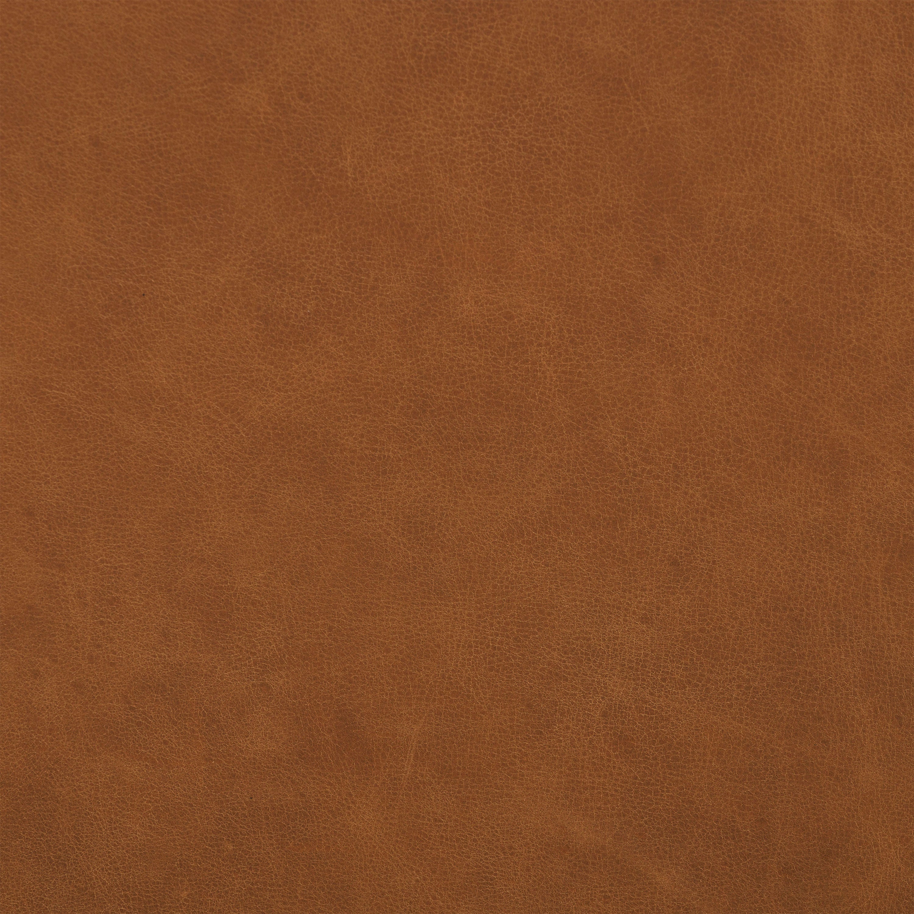 Fauteuil en cuir | Tan