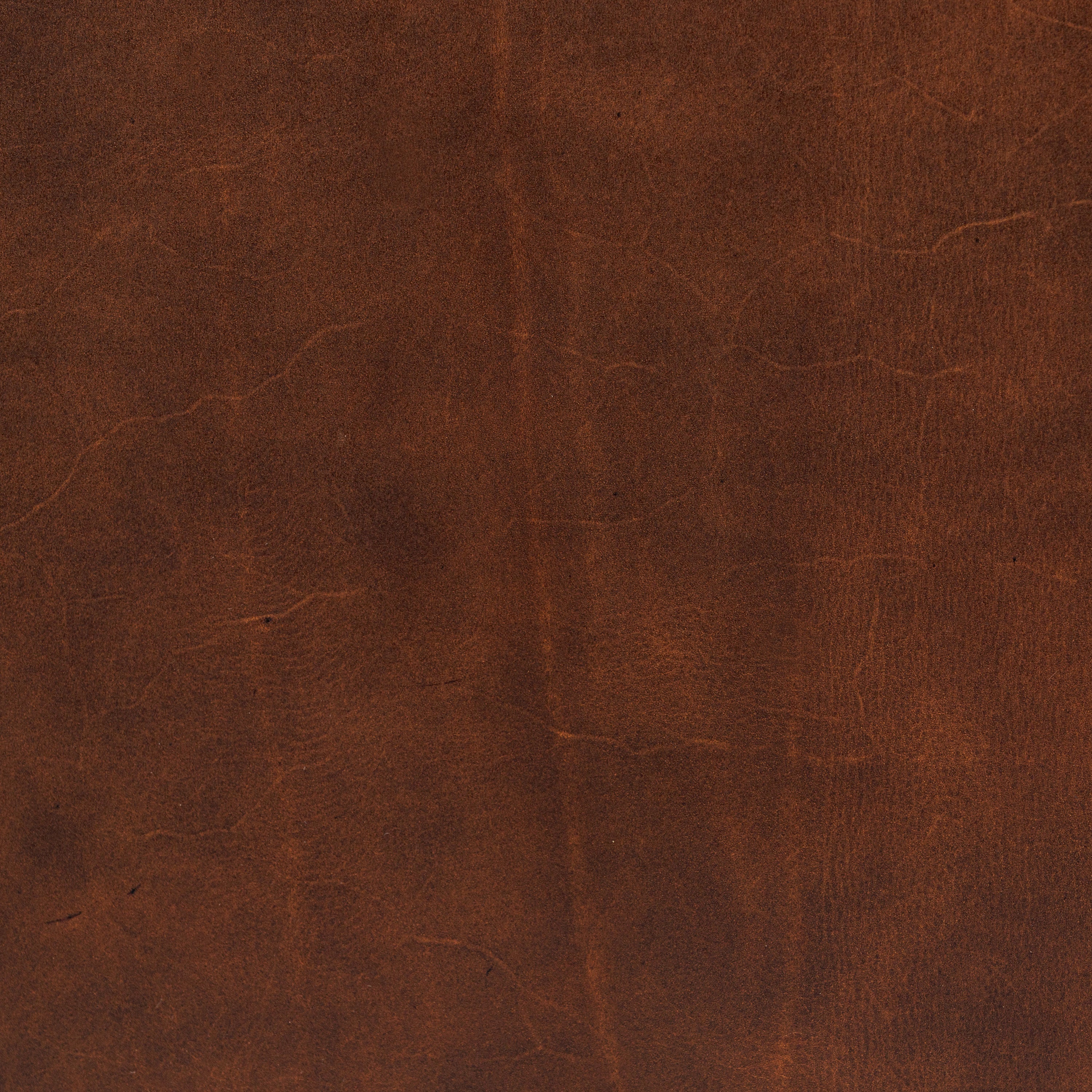 Fauteuil en cuir | Marron Oscuro